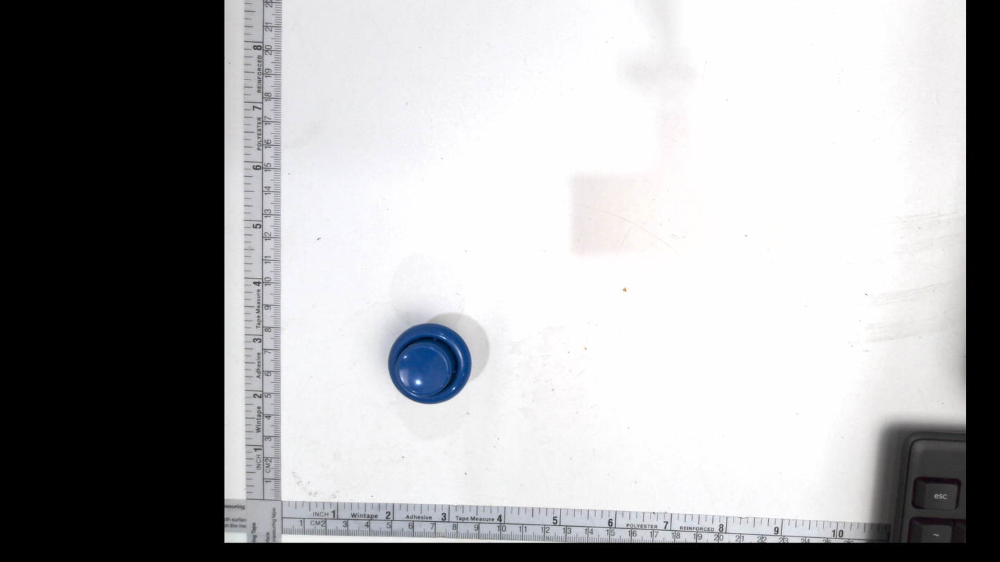 Flipper Button - Blue