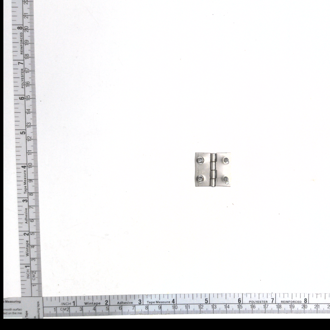 TRAP DOOR HINGE   A-14155