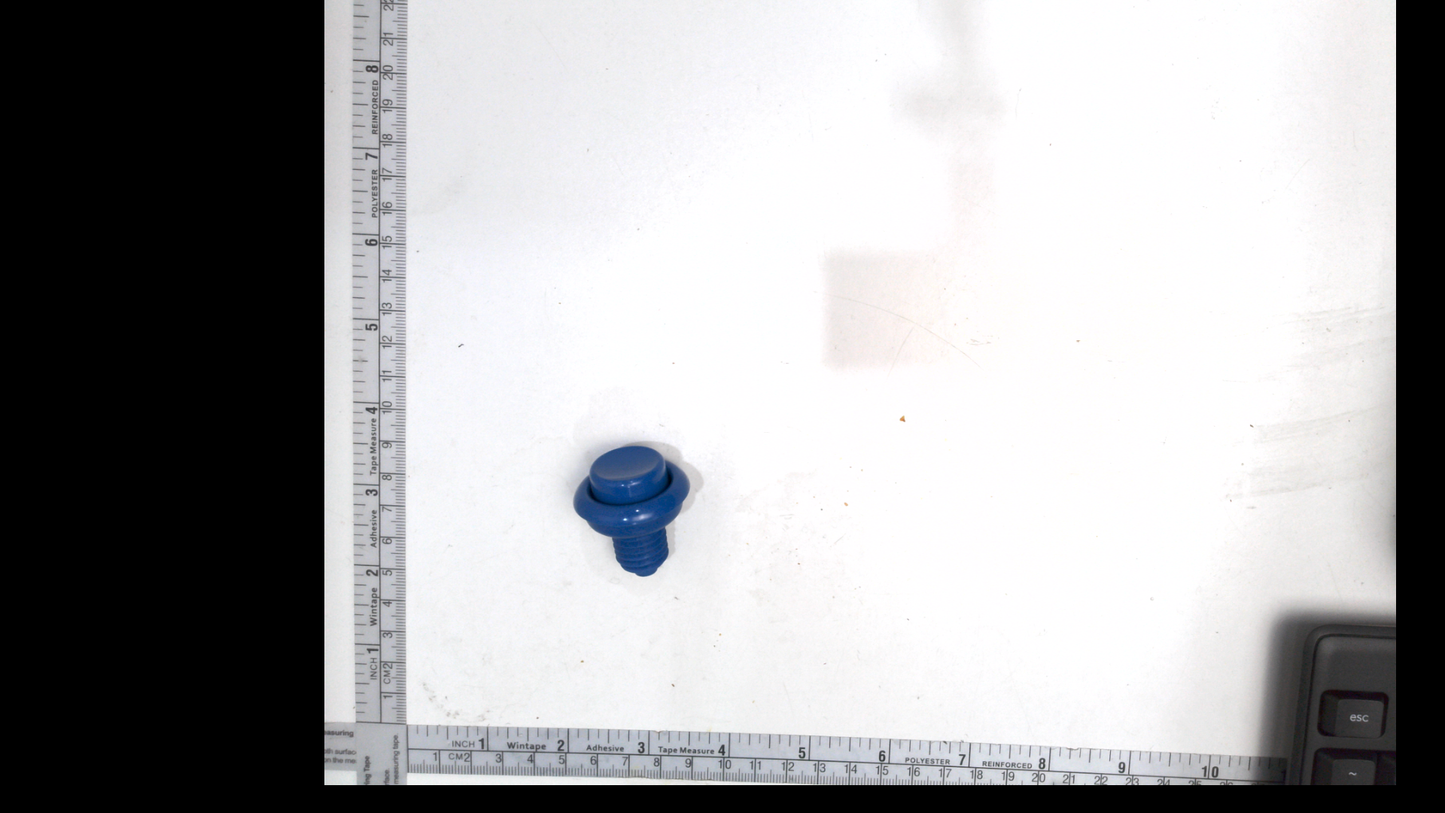 Flipper Button - Blue 